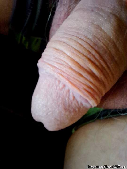Adult image from Hoverings