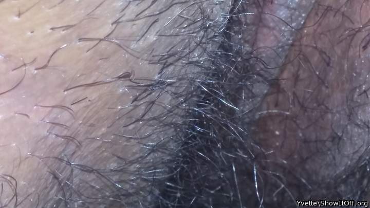in need of shaving