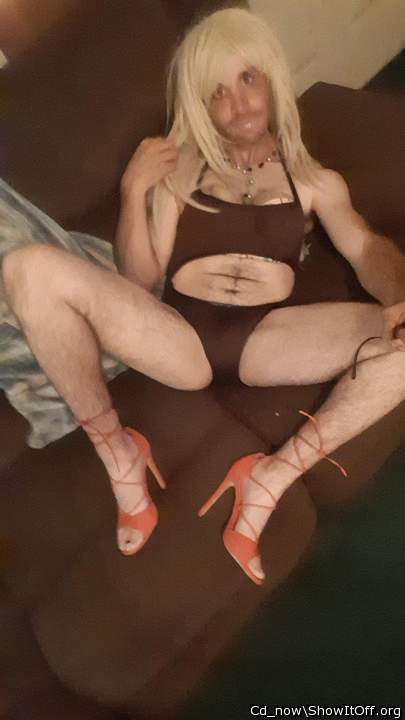 Adult image from Cd_now