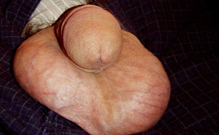 Adult image from lilsoftee
