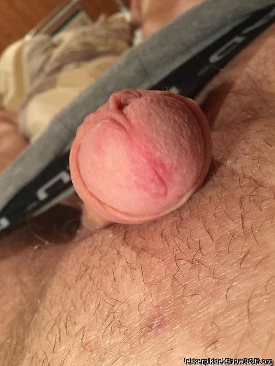 Adult image from lekkerpikkie
