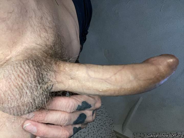 Adult image from Gazza