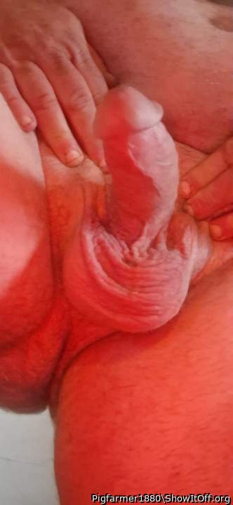 Adult image from Pigfarmer1980