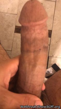 Adult image from Wetthroat