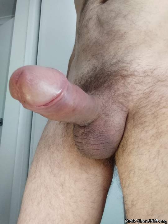 Adult image from Midik