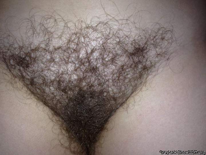 Love your bush.  Just like my wifes.   