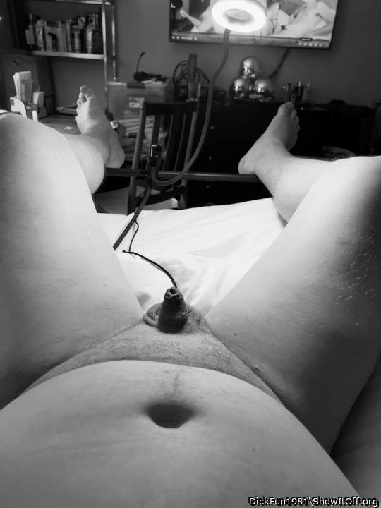 Adult image from DickFun1981