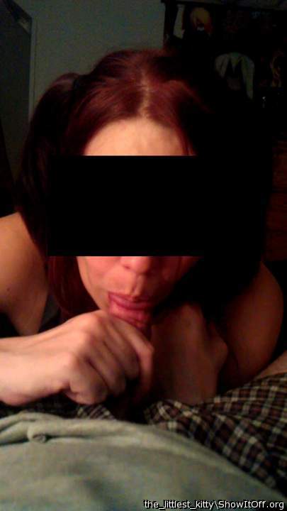 Adult image from the_littlest_kitty