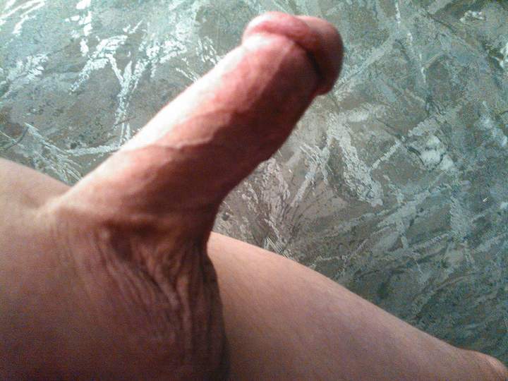 Adult image from fish4free