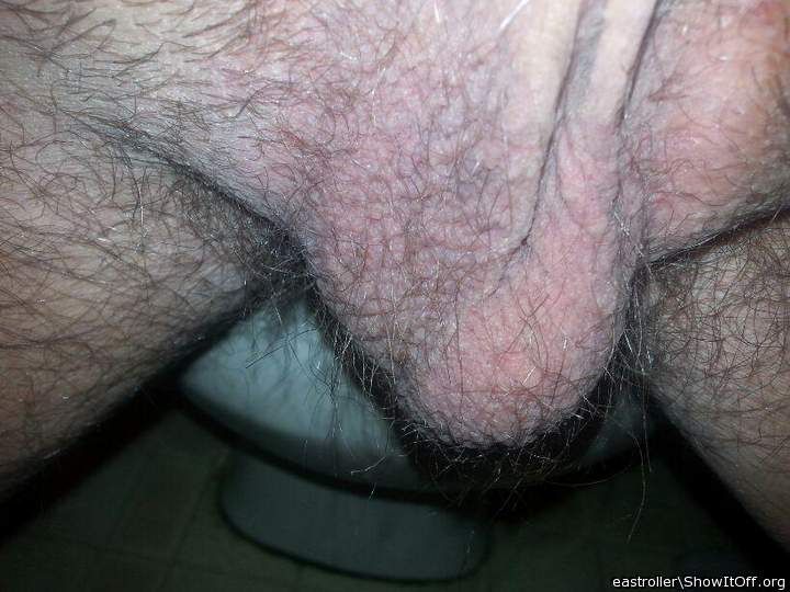 Adult image from *Humpy_Rugmuncher