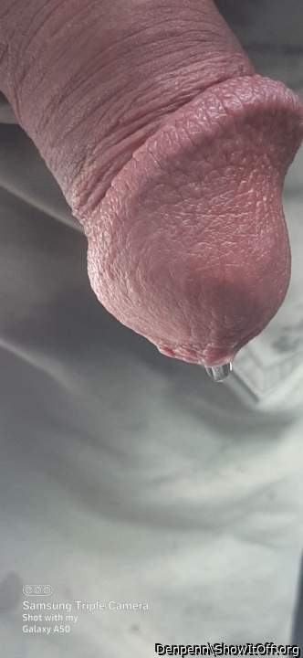 Adult image from Denpenn