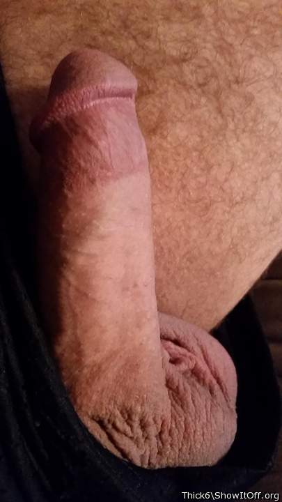 Adult image from Thick6