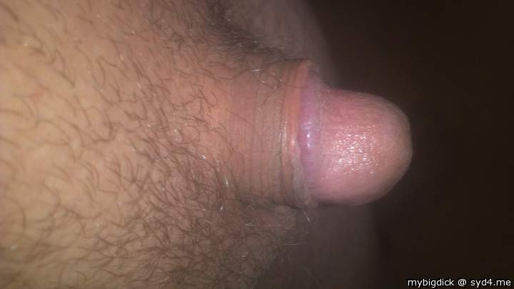 Adult image from mybigdick