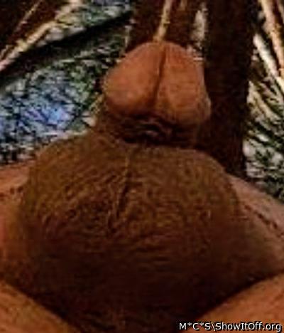 Adult image from M*C*S