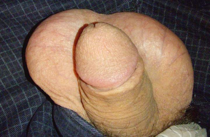 Adult image from lilsoftee