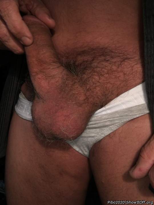 Adult image from Pibo2020