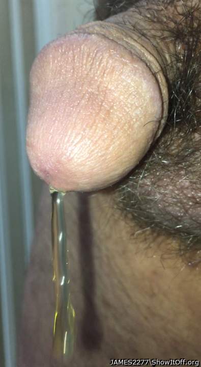 Adult image from JAMES2277