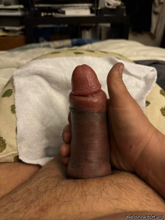 Adult image from 8x6