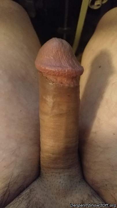 Adult image from Denpenn
