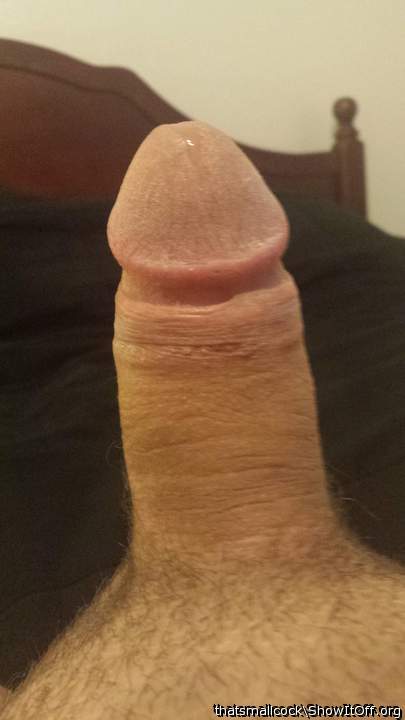 Lovely cock!   