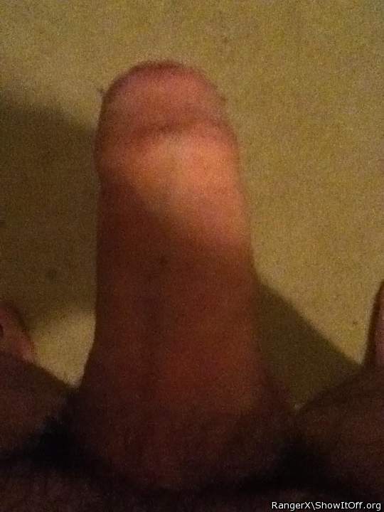 Adult image from RangerX