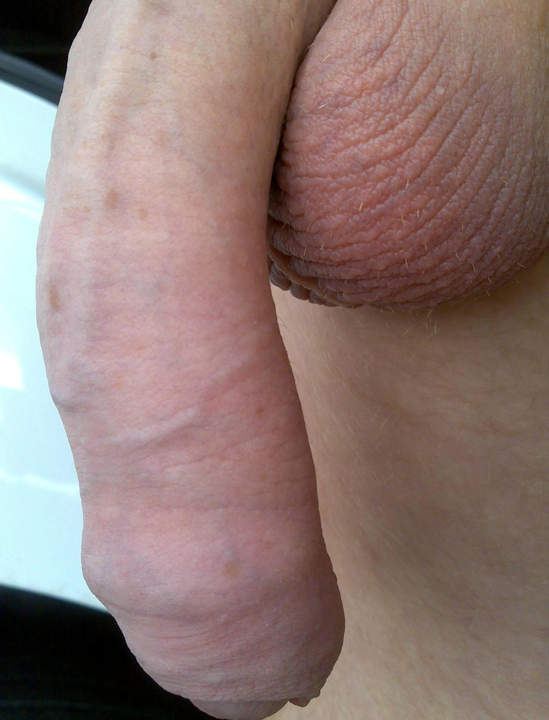the best cock i ever seen
