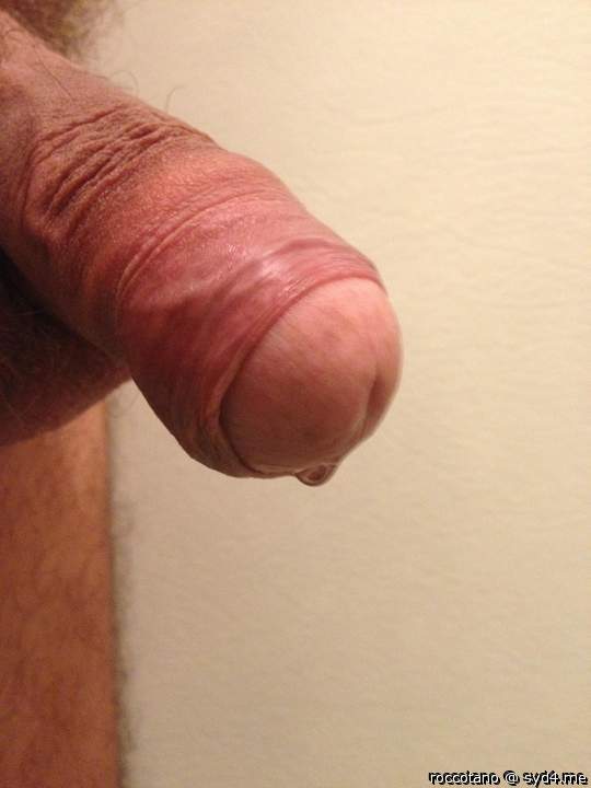 Adult image from roccotano
