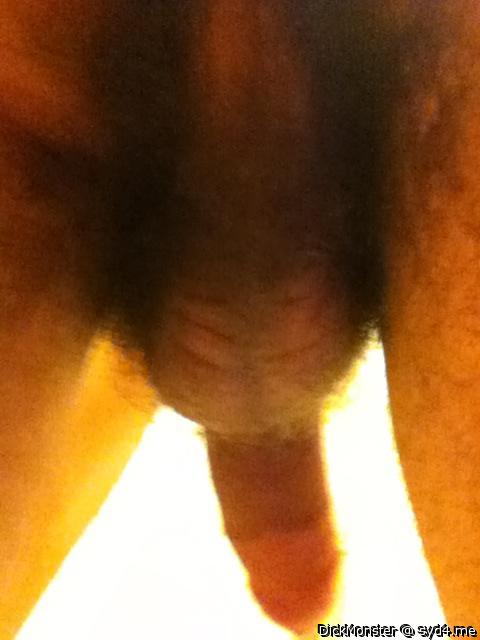 Adult image from DickMonster