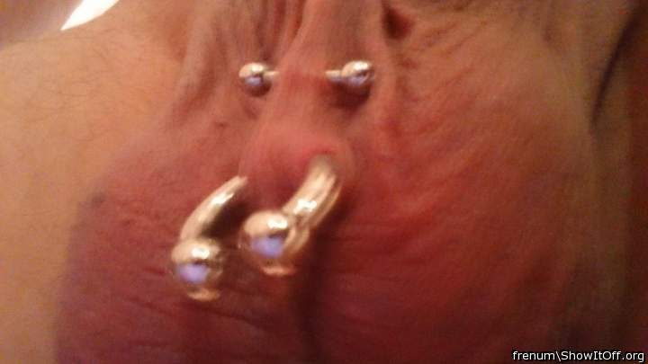 Adult image from Frenum