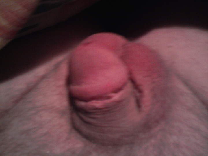 Adult image from fronve