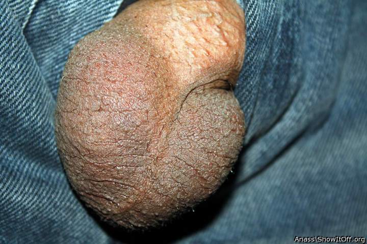 Adult image from Anass