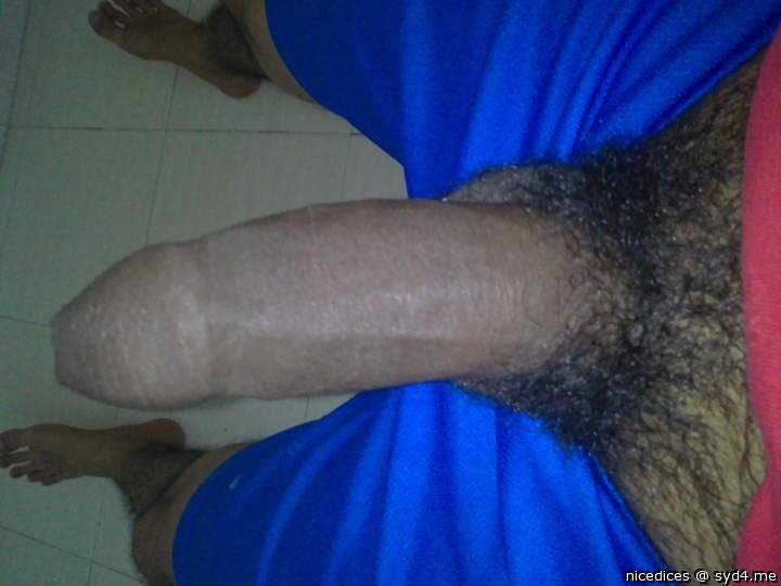 Adult image from nicedices