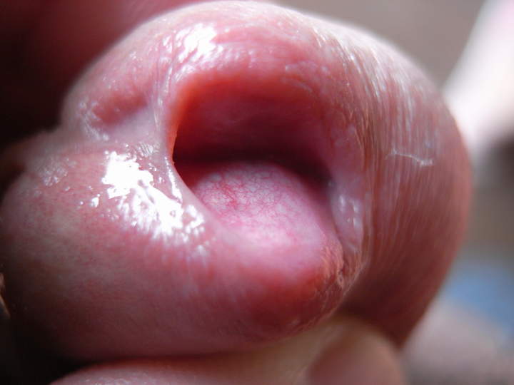 Adult image from eusay1587