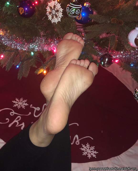 It�s the Season!