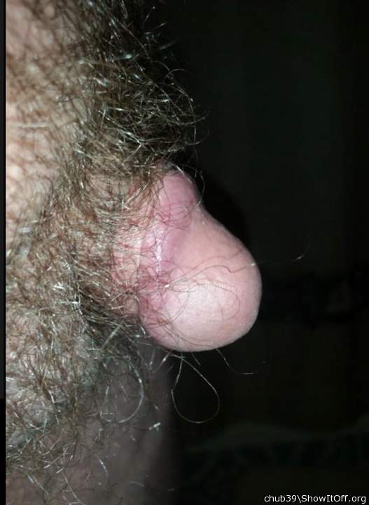 Adult image from chub39