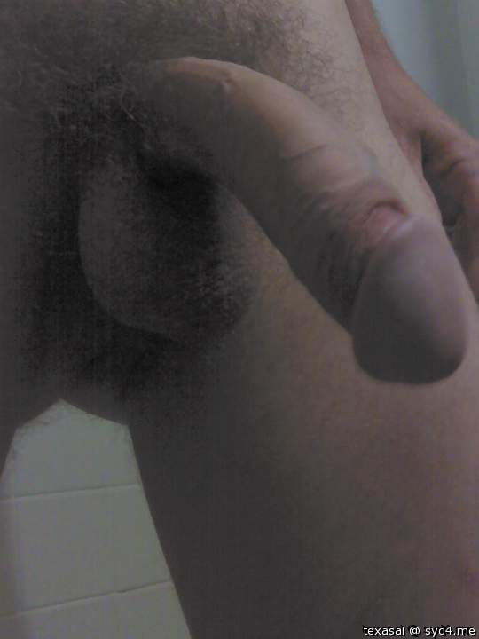 Adult image from texasal