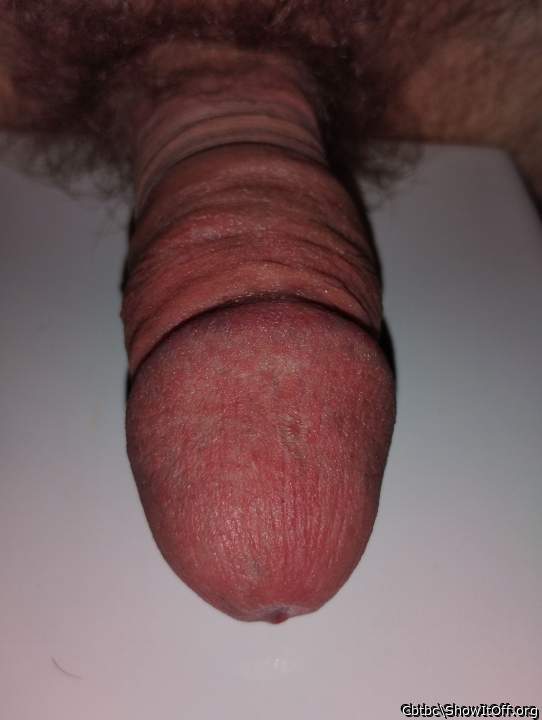 Adult image from Cbtbc