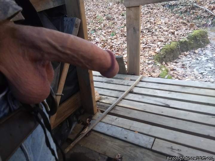 Adult image from Birddog7