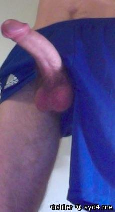 Adult image from distiller