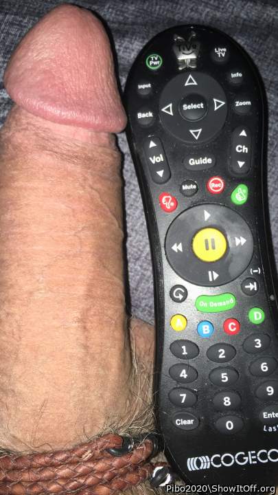 Adult image from Pibo2020