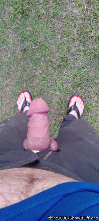 Adult image from tbird3030