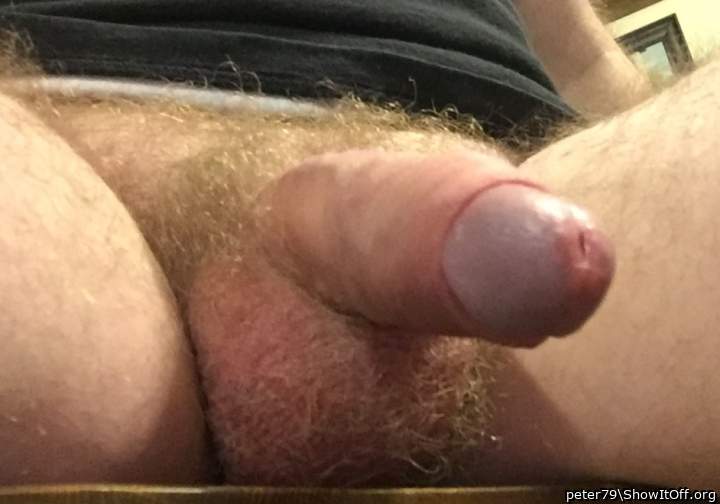 Adult image from peter79