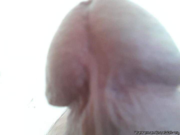 Adult image from wankerman