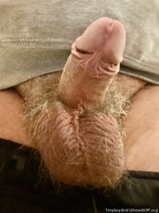 Fully erect with skinny nuts