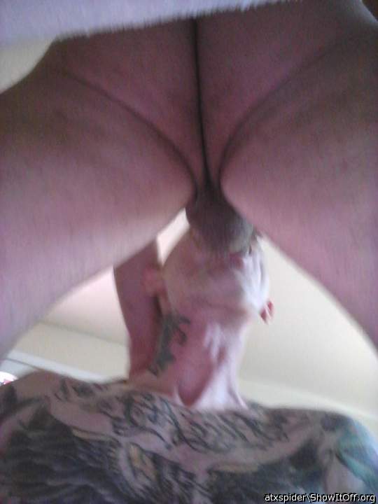 Adult image from atxspider