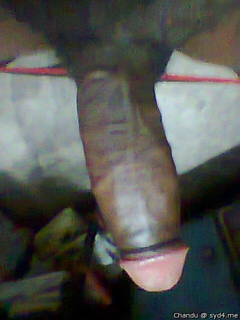 Adult image from Chandu