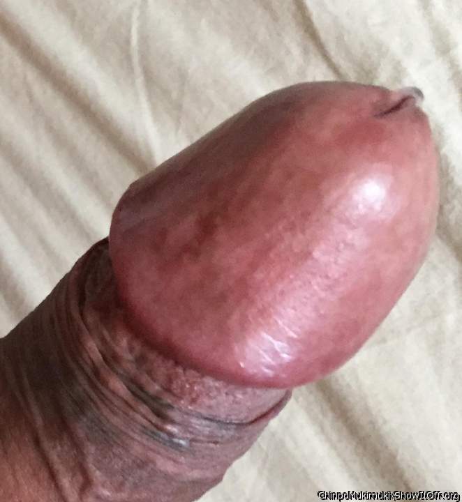 Adult image from ChinpoMukimuki