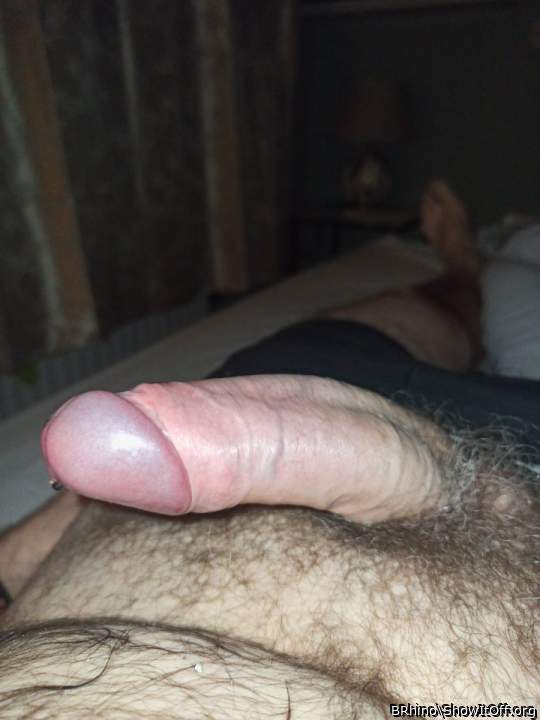 Adult image from BRhino