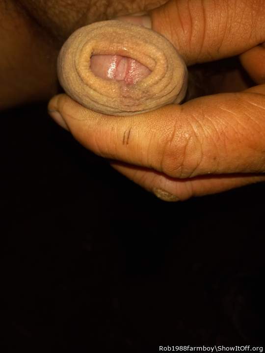 Adult image from Rob1988farmboy