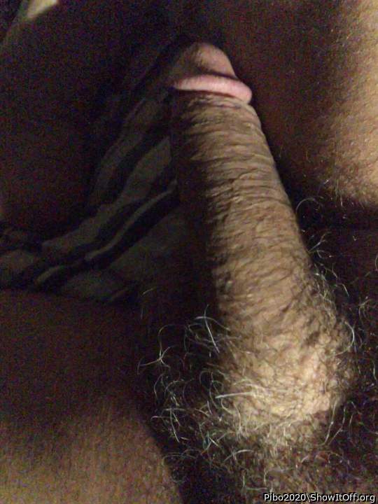 Adult image from Pibo2020